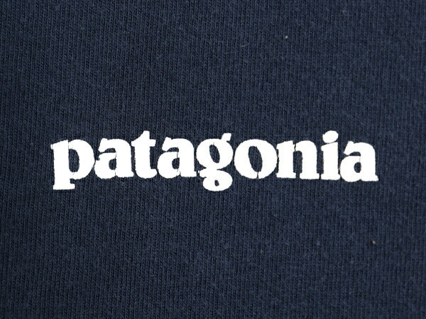 パタゴニア 両面 プリント 長袖 Tシャツ メンズ L 17年製 アウトドア ロンT ロングスリーブ P6 バックプリント ボックスロゴ カットソー 紺