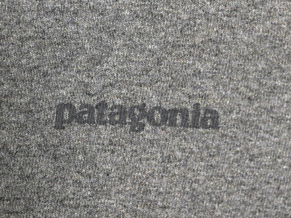 パタゴニア 両面 プリント 長袖 Tシャツ レディース S / 20年製 アウトドア ロンT ロングスリーブ ロゴT P6 バックプリント カットソー 灰