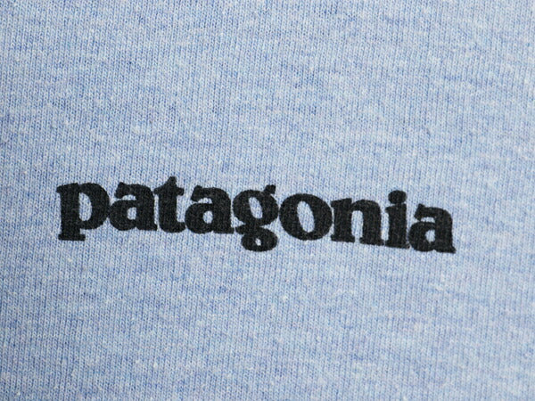 パタゴニア 両面 プリント 長袖 Tシャツ メンズ M / 19年製 アウトドア ロンT ロングスリーブ P6 バックプリント ボックスロゴ カットソー