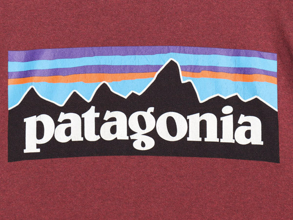 パタゴニア 両面 プリント 長袖 Tシャツ メンズ M / 19年製 アウトドア ロンT ロングスリーブ P6 バックプリント ボックスロゴ カットソー