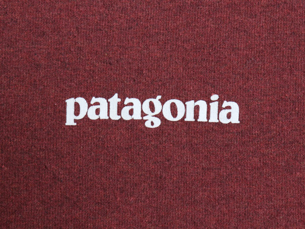 パタゴニア 両面 プリント 長袖 Tシャツ メンズ M / 19年製 アウトドア ロンT ロングスリーブ P6 バックプリント ボックスロゴ カットソー