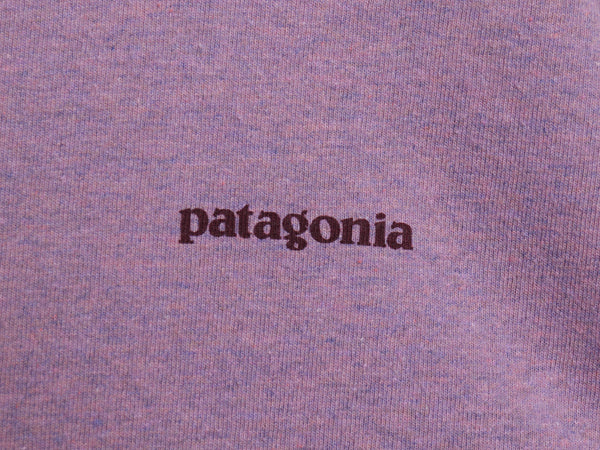 US企画 パタゴニア 両面 プリント 長袖 Tシャツ レディース L / 19年製 アウトドア ロンT カットソー グラフィック アート バックプリント