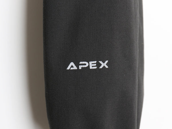 ノースフェイス APEX ソフトシェル ジャケット メンズ L / アウトドア フルジップ ブルゾン ジャンパー ストレッチ スムース ワンポイント
