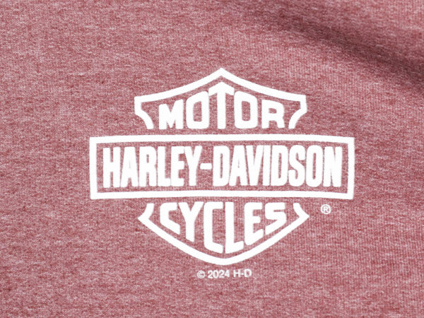 ハーレー ダビッドソン 両面 プリント スウェット フード パーカー メンズ L / プルオーバー トレーナー バイク 裏起毛 シンプル パープル