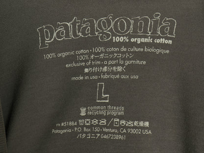USA製 パタゴニア プリント 半袖 Tシャツ メンズ L アウトドア グラフィック イラスト アート オーガニック コットン カットソー トップス