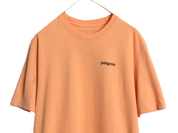 パタゴニア 両面 プリント 半袖 Tシャツ メンズ L / 19年製 アウトドア バックプリント クルーネック カットソー グラフィック イラスト 