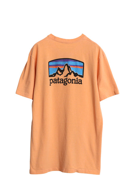 パタゴニア 両面 プリント 半袖 Tシャツ メンズ L / 19年製 アウトドア バックプリント クルーネック カットソー グラフィック イラスト 