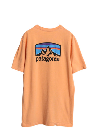 パタゴニア 両面 プリント 半袖 Tシャツ メンズ L / 19年製 アウトドア バックプリント クルーネック カットソー グラフィック イラスト 