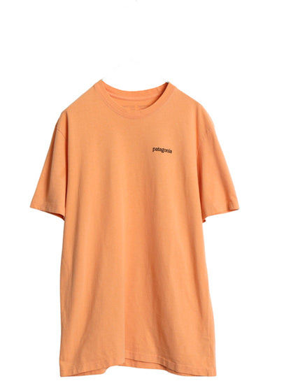 パタゴニア 両面 プリント 半袖 Tシャツ メンズ L / 19年製 アウトドア バックプリント クルーネック カットソー グラフィック イラスト 