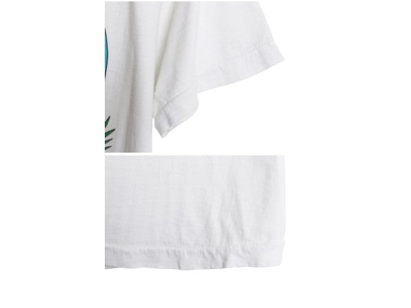 80s カリフォルニア レーズン プリント Tシャツ メンズ レディース L 程/ ヴィンテージ 企業 キャラクター イラスト シングルステッチ 白