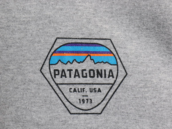 パタゴニア 両面 プリント 長袖 Tシャツ メンズ XL 17年製 アウトドア ロンT ロングスリーブ グラフィック バックプリント 大きいサイズ 灰