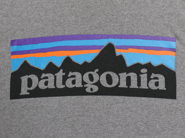 パタゴニア 両面 プリント 長袖 Tシャツ メンズ M 19年製 アウトドア ロンT ロングスリーブ P6 バックプリント ボックスロゴ カットソー 灰