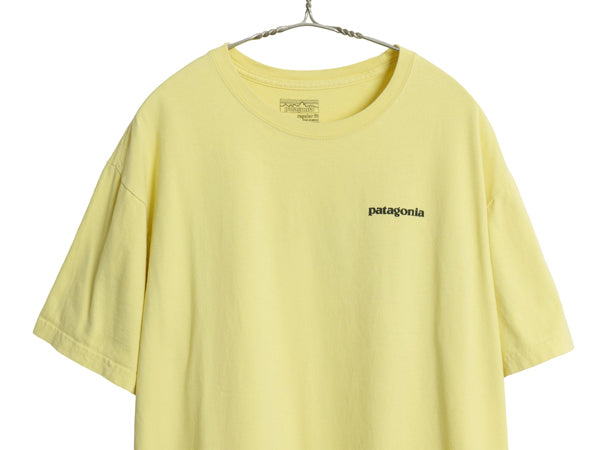 パタゴニア 両面 プリント 半袖 Tシャツ メンズ XL / 17年製 アウトドア P6 ボックスロゴ オーガニック コットン カットソー 大きいサイズ