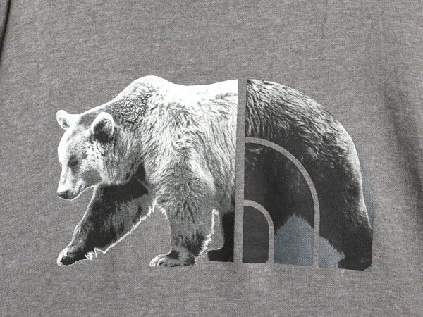 ノースフェイス プリント スウェット フード パーカー メンズ L プルオーバー トレーナー ベア ロゴ イラスト グラフィック 裏起毛 グレー