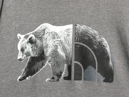 ノースフェイス プリント スウェット フード パーカー メンズ L プルオーバー トレーナー ベア ロゴ イラスト グラフィック 裏起毛 グレー