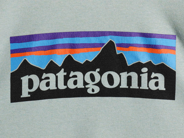 パタゴニア 両面 プリント 半袖 Tシャツ メンズ L 古着 20年製 アウトドア P6 ボックスロゴ バックプリント カットソー トップス グリーン