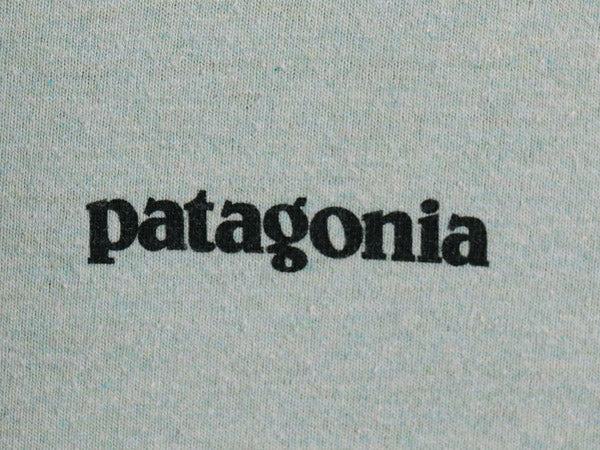パタゴニア 両面 プリント 半袖 Tシャツ メンズ L 古着 20年製 アウトドア P6 ボックスロゴ バックプリント カットソー トップス グリーン