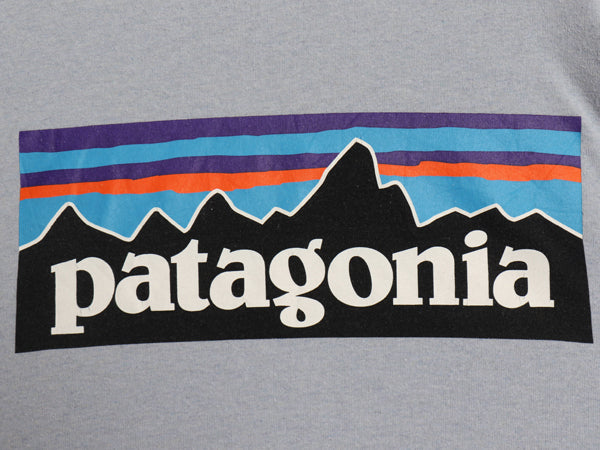 パタゴニア 両面 プリント 長袖 Tシャツ メンズ M / 22年製 アウトドア ロンT ロングスリーブ P6 バックプリント ボックスロゴ カットソー