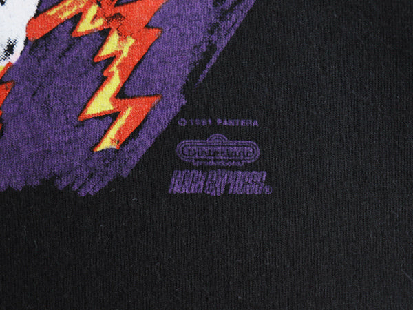 90s USA製 ★ パンテラ スカル イラスト プリント Tシャツ メンズ XL / オールド 当時物 バンド ロック メタル シングルステッチ ブラック