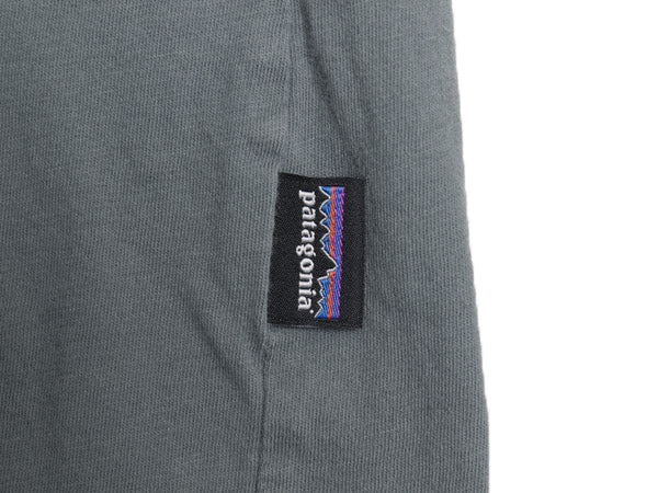 パタゴニア ヘンリーネック 長袖 Tシャツ メンズ L  / ロンT オーガニック コットン カットソー ロングスリーブ 無地 シンプル アウトドア