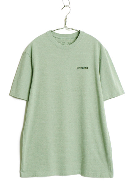 パタゴニア 両面 プリント 半袖 Tシャツ メンズ S 19年製 アウトドア フィッツロイ バイソン グラフィック アート アニマル バックプリント
