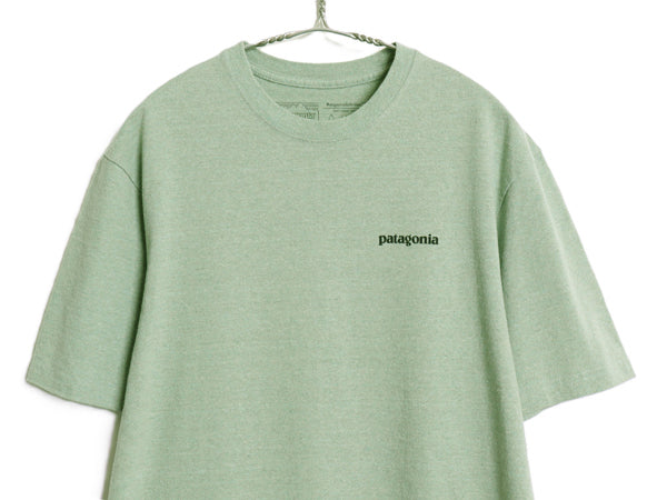 パタゴニア 両面 プリント 半袖 Tシャツ メンズ S 19年製 アウトドア フィッツロイ バイソン グラフィック アート アニマル バックプリント