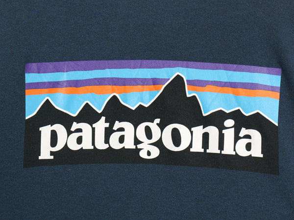 パタゴニア 両面 プリント 長袖 Tシャツ メンズ S / アウトドア ロンT ロングスリーブ P6 バックプリント ボックスロゴ カットソー ブルー