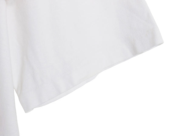 80s カレッジ 3段 フロッキー プリント 半袖 Tシャツ メンズ XL 程 ヴィンテージ シングルステッチ ヘビーウェイト ツートン 大きいサイズ