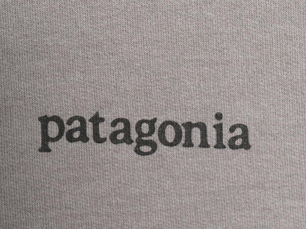 パタゴニア 両面 プリント ライトウェイト スウェット メンズ S / 19年製 アウトドア 裏起毛 長袖 Tシャツ ロンT グラフィック カットソー