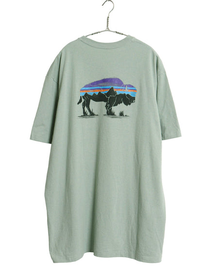 デッドストック パタゴニア 両面 プリント 半袖 Tシャツ メンズ XL / 19年製 アウトドア フィッツロイ バイソン グラフィック 大きいサイズ