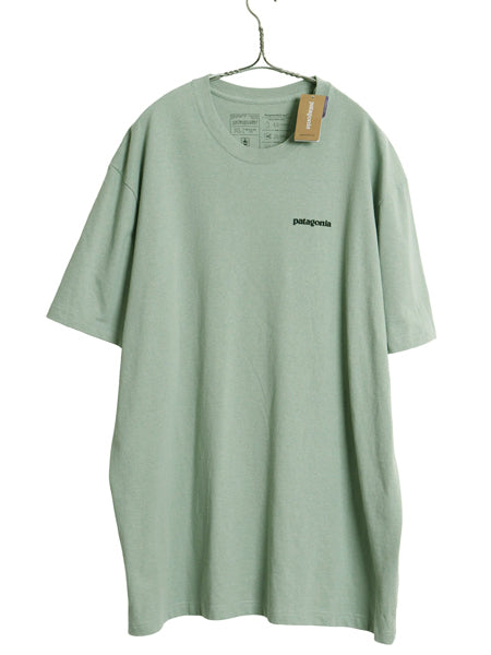 デッドストック パタゴニア 両面 プリント 半袖 Tシャツ メンズ XL / 19年製 アウトドア フィッツロイ バイソン グラフィック 大きいサイズ