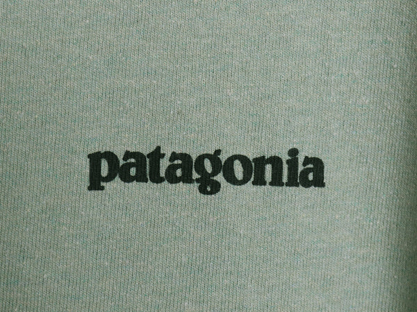 デッドストック パタゴニア 両面 プリント 半袖 Tシャツ メンズ XL / 19年製 アウトドア フィッツロイ バイソン グラフィック 大きいサイズ
