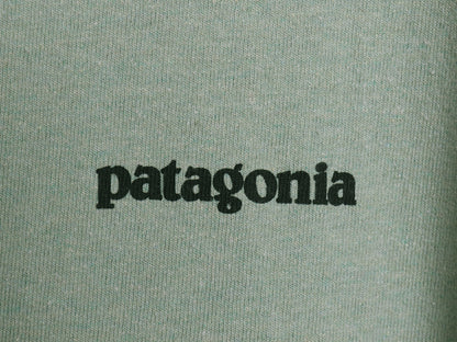 デッドストック パタゴニア 両面 プリント 半袖 Tシャツ メンズ XL / 19年製 アウトドア フィッツロイ バイソン グラフィック 大きいサイズ