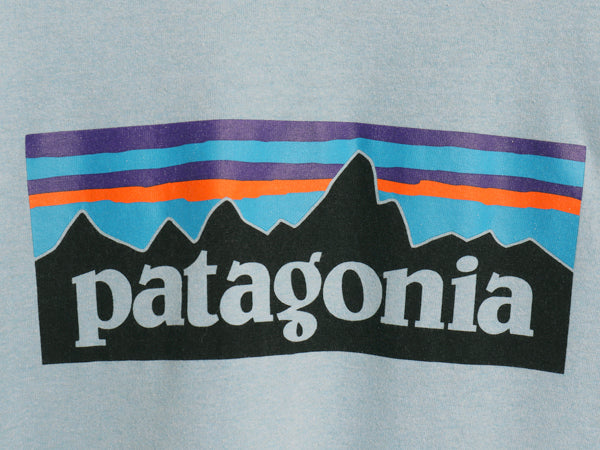 パタゴニア 両面 プリント 半袖 Tシャツ メンズ L / 19年製 アウトドア P6 ボックスロゴ バックプリント クルーネック カットソー シンプル