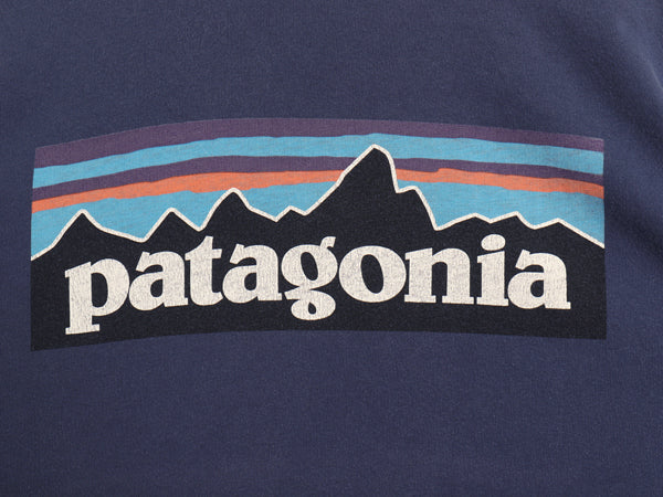 USA製 パタゴニア 両面 プリント 長袖 Tシャツ メンズ XXL ロンT ロングスリーブ P6 バックプリント ボックスロゴ カットソー 大きいサイズ