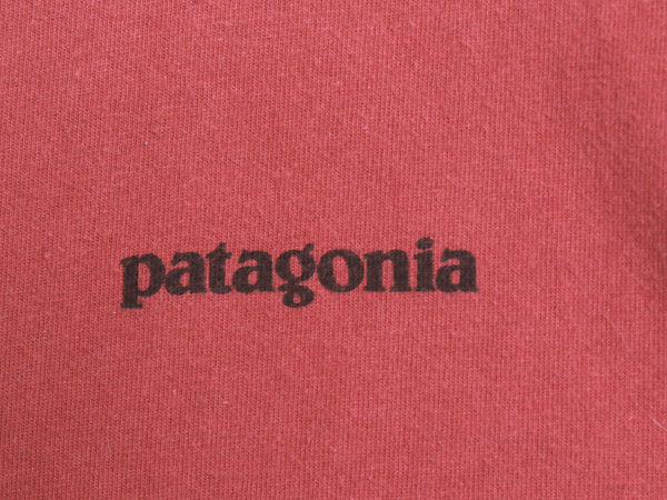 パタゴニア 両面 プリント 半袖 Tシャツ メンズ M / 古着 17年製 アウトドア P6 バックプリント ボックスロゴ カットソー シンプル エンジ