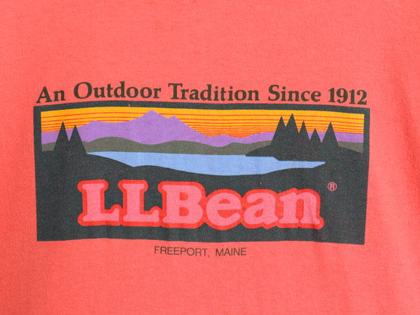80s USA製 エルエルビーン ヘインズ 別注 プリント 半袖 Tシャツ メンズ L 小さめ M 程/ ヴィンテージ ヘビーウェイト コットン カットソー
