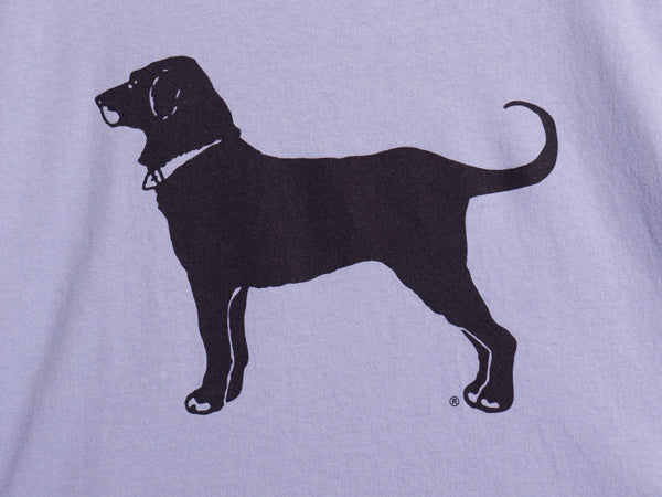 00s USA製 The Black Dog ドッグ イラスト プリント Tシャツ メンズ レディース XXL オールド アニマル アート グラフィック 大きいサイズ