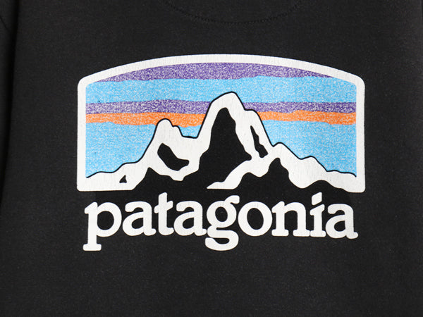 パタゴニア 両面 プリント スウェット フード パーカー メンズ S / 22年製 アウトドア トレーナー プルオーバー ヘビーウェイト 裏起毛 黒