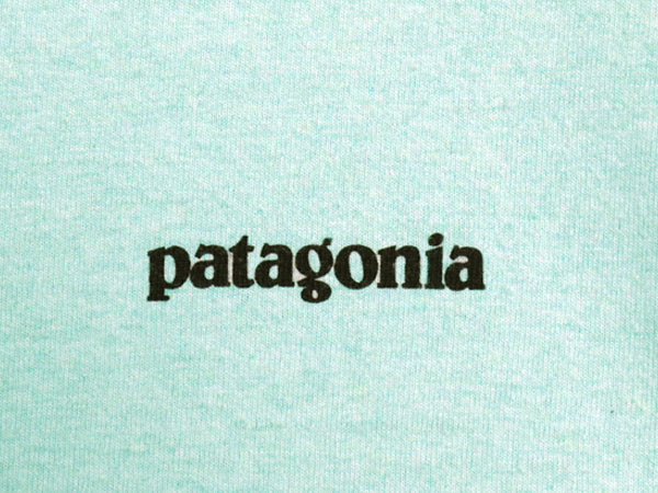  パタゴニア 両面 プリント 半袖 Tシャツ メンズ L / 古着 アウトドア カットソー P6 バックプリント ボックスロゴ クルーネック シンプル
