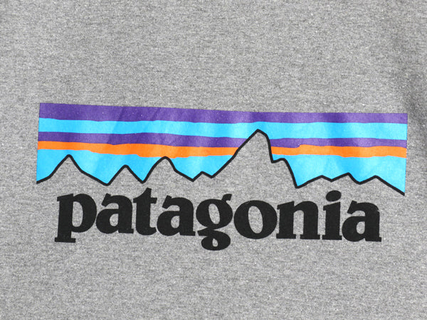 パタゴニア プリント スウェット フード パーカー メンズ М / 18年製 トレーナー ストレッチ プルオーバー ヘビーウェイト 裏起毛 グレー