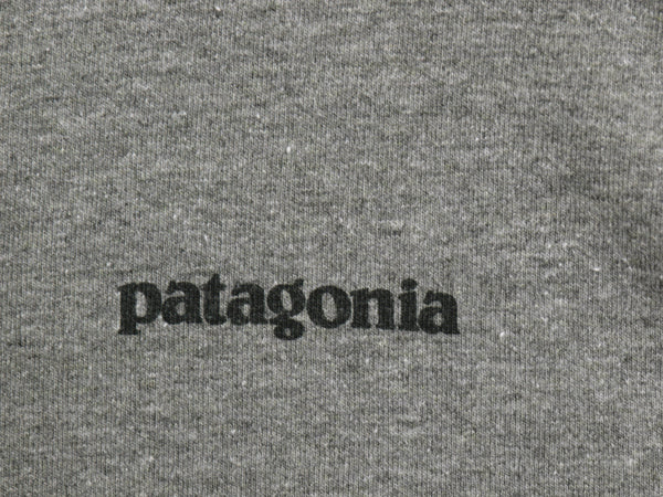 パタゴニア 両面 プリント 長袖 Tシャツ メンズ M 18年製 アウトドア ロンT ロングスリーブ P6 バックプリント ボックスロゴ カットソー 灰