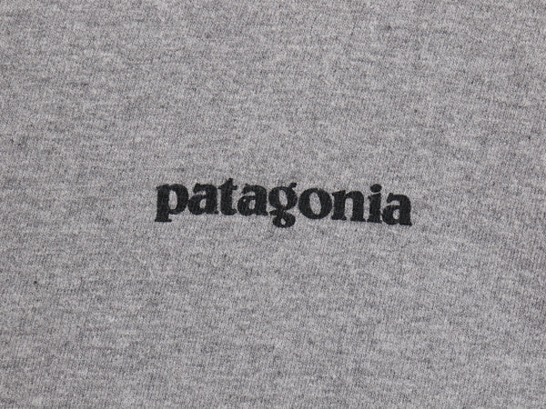 パタゴニア 両面 プリント 長袖 Tシャツ メンズ L / 17年製 アウトドア ロンT ロングスリーブ P6 バックプリント オーガニック コットン 灰