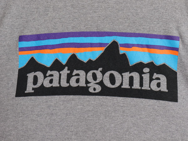 パタゴニア 両面 プリント 長袖 Tシャツ メンズ L / 17年製 アウトドア ロンT ロングスリーブ P6 バックプリント オーガニック コットン 灰