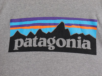 パタゴニア 両面 プリント 長袖 Tシャツ メンズ L / 17年製 アウトドア ロンT ロングスリーブ P6 バックプリント オーガニック コットン 灰