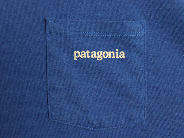 パタゴニア ポケット付き 両面 プリント 半袖 Tシャツ メンズ XL 21年製 アウトドア  グラフィック アート バックプリント 大きいサイズ 青