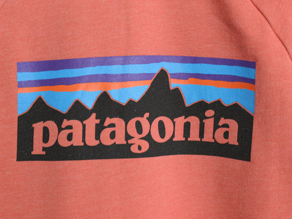 パタゴニア 両面 プリント ライトウェイト スウェット メンズ M / 18年製 アウトドア トレーナー 長袖Tシャツ ロンT バックプリント 裏起毛
