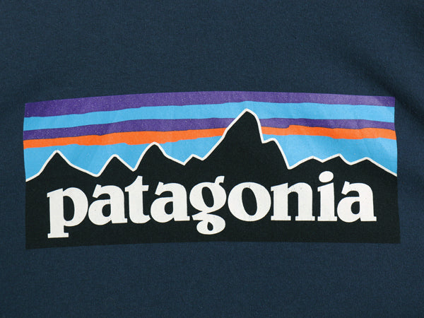 パタゴニア 両面 プリント 長袖 Tシャツ メンズ L / 20年製 アウトドア ロンT ロングスリーブ P6 バックプリント ボックスロゴ カットソー
