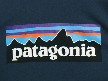 パタゴニア 両面 プリント 長袖 Tシャツ メンズ L / 20年製 アウトドア ロンT ロングスリーブ P6 バックプリント ボックスロゴ カットソー
