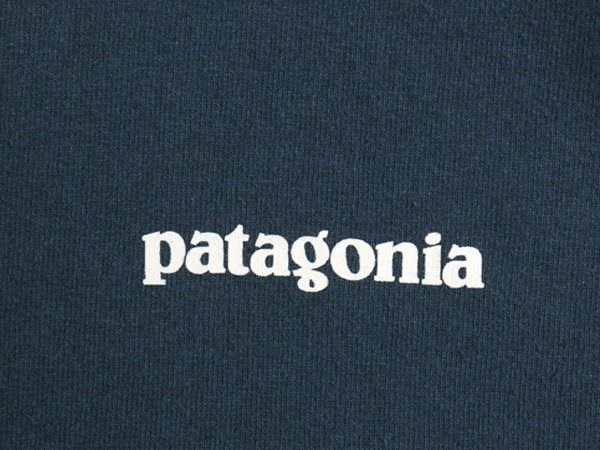 パタゴニア 両面 プリント 長袖 Tシャツ メンズ L / 20年製 アウトドア ロンT ロングスリーブ P6 バックプリント ボックスロゴ カットソー